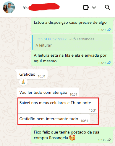 Conversa de WhatsApp mostrando gratidão